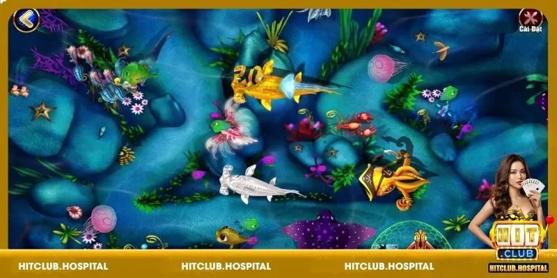Bí quyết chơi game Bắn Cá Đại Chiến HitClub