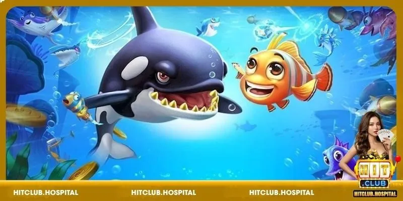 Hướng dẫn cách chơi Disco chi tiết tại HitClub