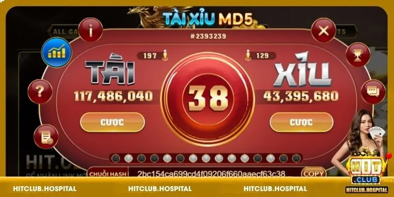 Khám phá quy định chơi Tài Xỉu MD5 tại HitClub