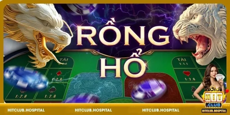 Tổng quan vài nét về Rồng Hổ HitClub